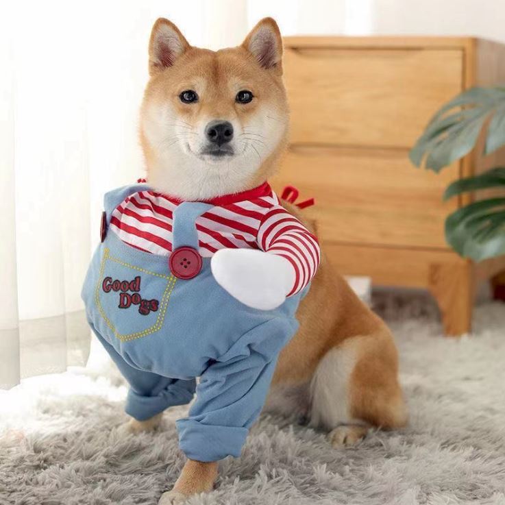 Fantasia de Carnaval para Cachorro Dog Chucky